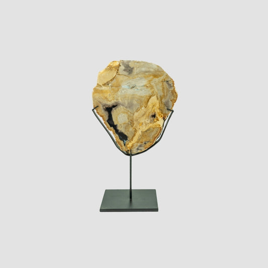 Mounted Petrified Wood Slab