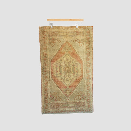 Faded Olive + Terracotta Turkish Rug